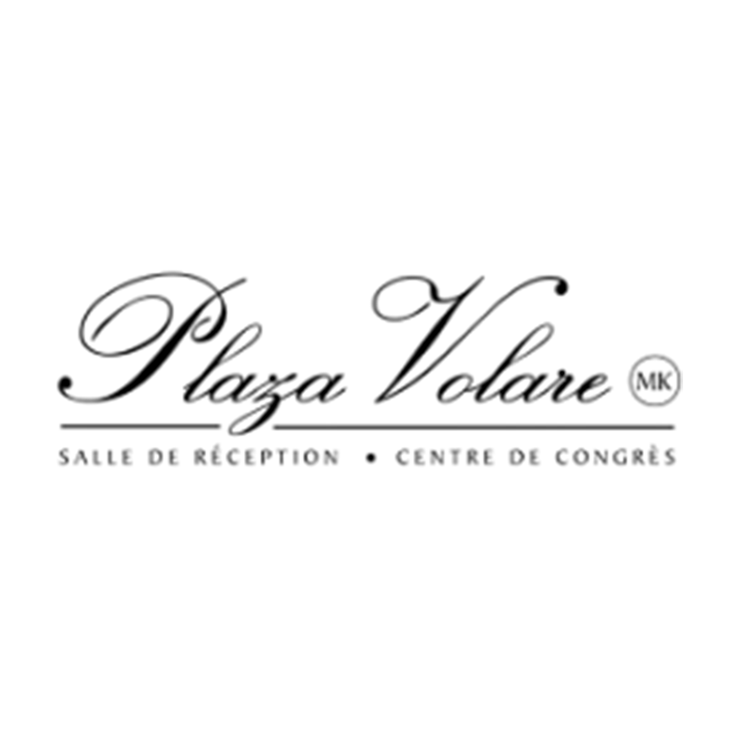Logo Plaza Volare